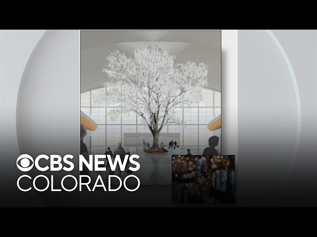 New art piece "The Stars and Cottonwood" could be installed inside Denver International Airport