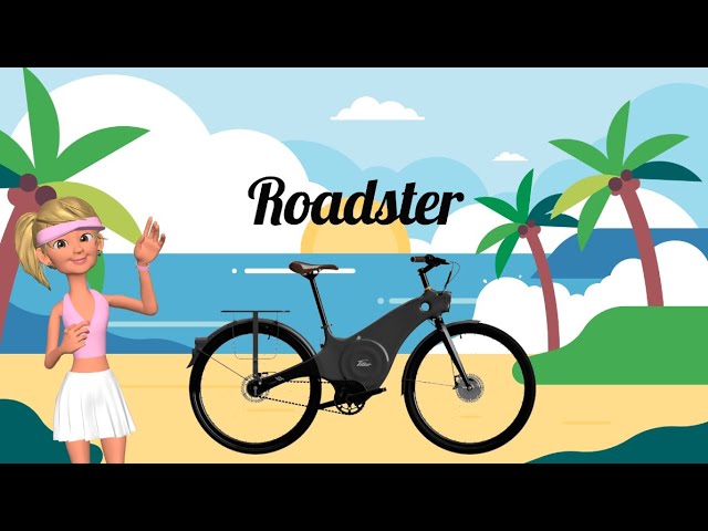 Perth E-Bike Hire Roadster operational guide