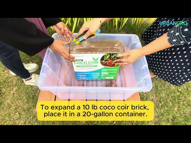 Premium Coco Coir by UrbanGro | 10 LBS Compressed Brick Expands to 2 Cubic Feet