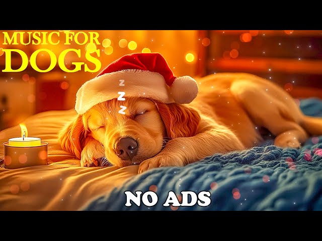 [No Ads] Christmas Dog Music Relax 🐶🎄Best Music to Help Dogs Sleep Deeply and Reduce Anxiety!