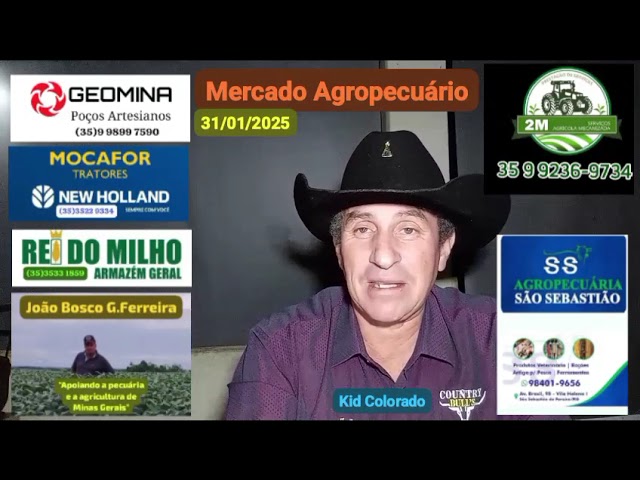 Mercado Agropecuário 31/01/2025 (Obs: Os preços são atualizados todos os dias pelo CEPEA)