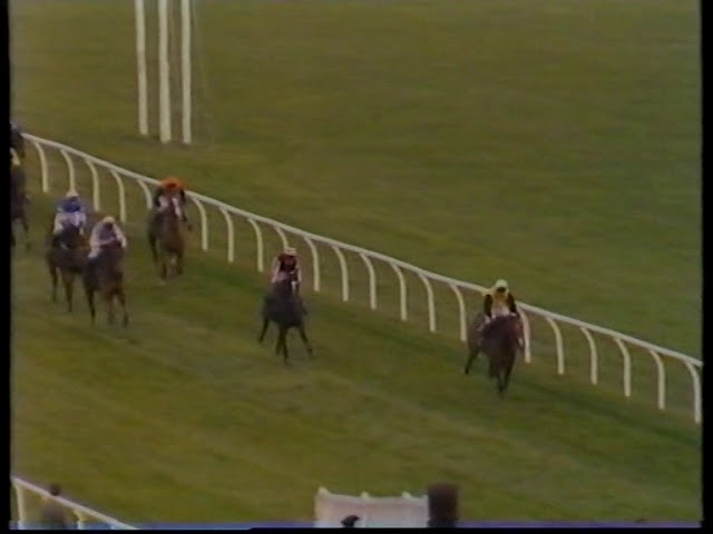 1988 Mackeson Gold Cup Pegwell Bay + Replay