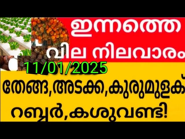 കേരളത്തിലെ ഇന്നത്തെ റബ്ബർ വില അറിയൂ | Gold prices increase by Rs 200