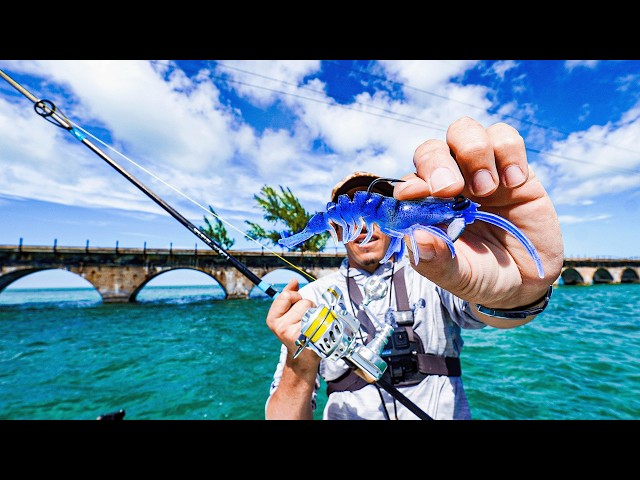 I Fished The FL Keys 7 Mile Bridge For 2 Days… Here’s What Happened