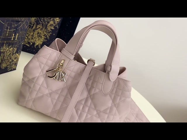 Dior Toujours series pink handbag