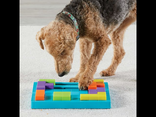 Brightkins Brain Teaser Interactive Dog Treat & Food Puzzle