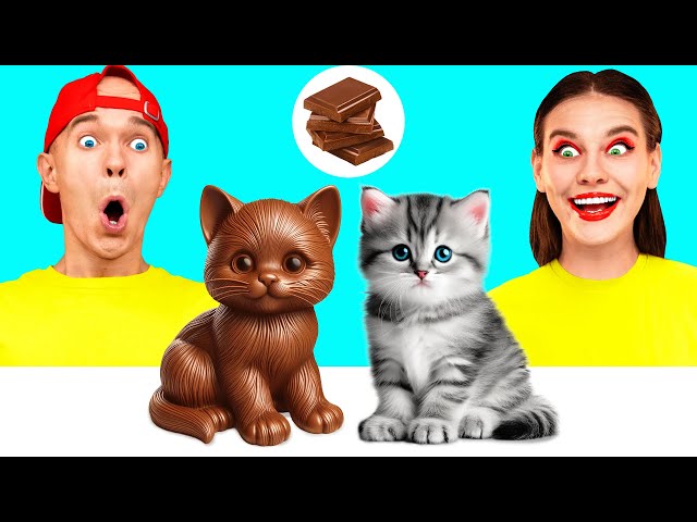 Real Food vs Chocolate Food Challenge | Funny Food Challenges by Happy Fun