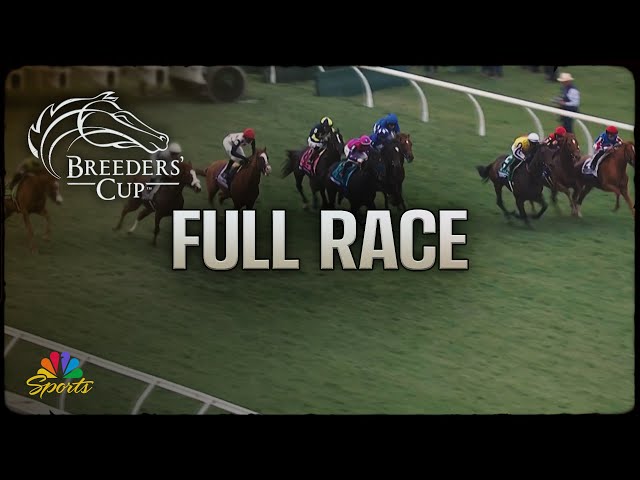 Breeders' Cup 2024: Mile (Full Race) | NBC Sports