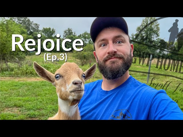 Finding Joy in Escaped Goats (Kind of) // Capsule Sermon