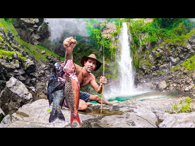 PARADISE ON EARTH! (Waterfall Catch & Cook)