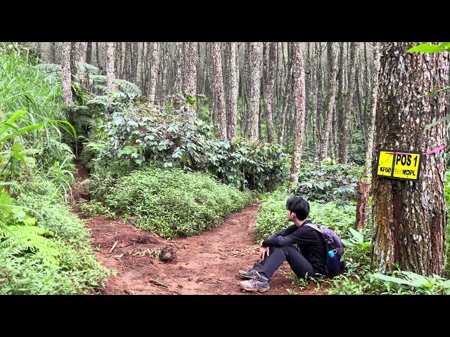 Trekking ke Puncak Bukit Tunggul di Bulan Desember 2024