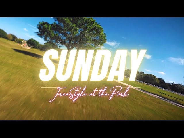 Sunday Flying - Florida FPV Freestyle