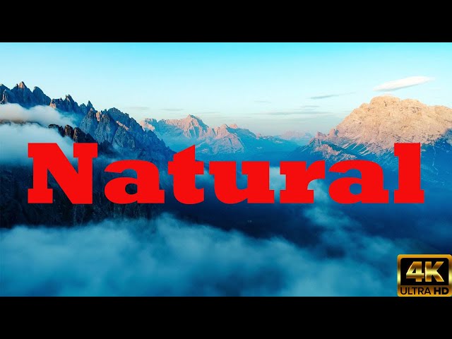 4K Beautiful Natural with Bird forest Music