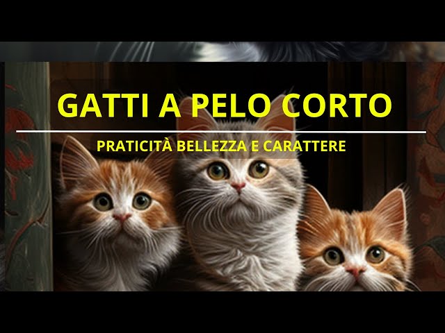 GATTI A PELO CORTO PRATICITÀ, BELLEZZA E CARATTERE - PETOPIA