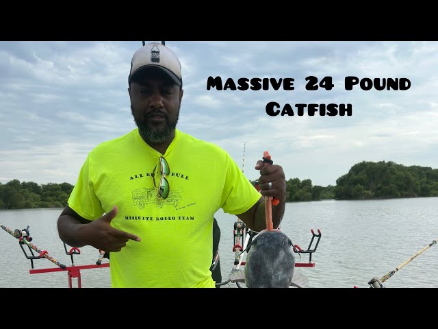 Massive Monster Catfish: Reeling in the Unbelievable: Epic Battle with a Monstrous 24-Pound Catfish!