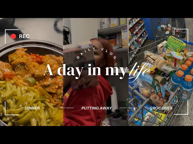 Living Alone Diaries | Putting groceries away + cooking dinner