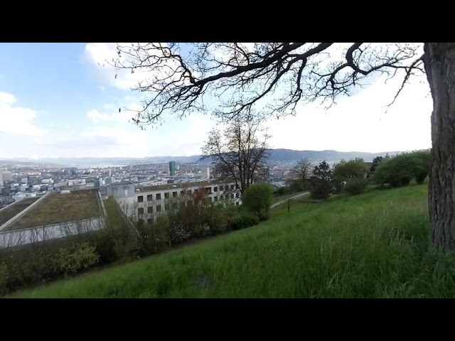 Zürich View 180VR 3D from Waid