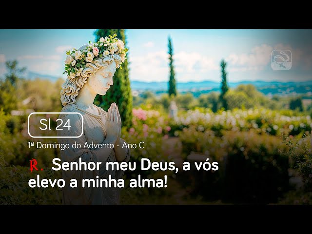 Salmo 24 Senhor meu Deus, a vós elevo a minha alma (1º Domingo do Advento - Ano C)