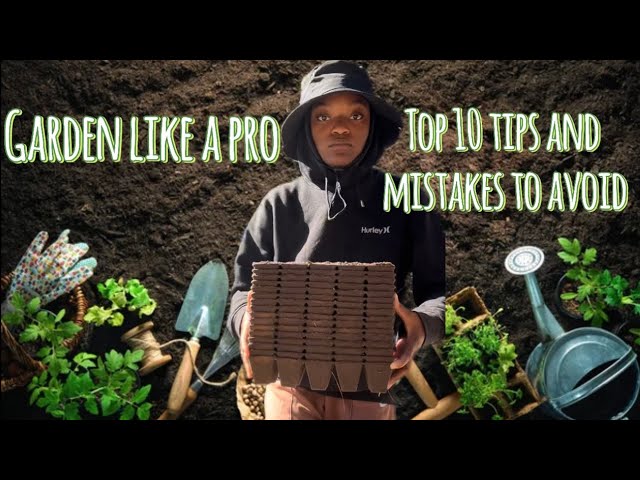 Garden like a pro: Top 10 tips and mistakes to avoid