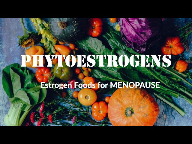 Estrogen foods for Menopause and to Balance Hormones