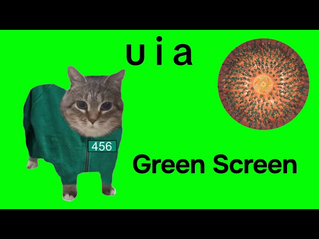 OIIAOIIA CAT x Mingle Song Green Screen Squid Game Season 2