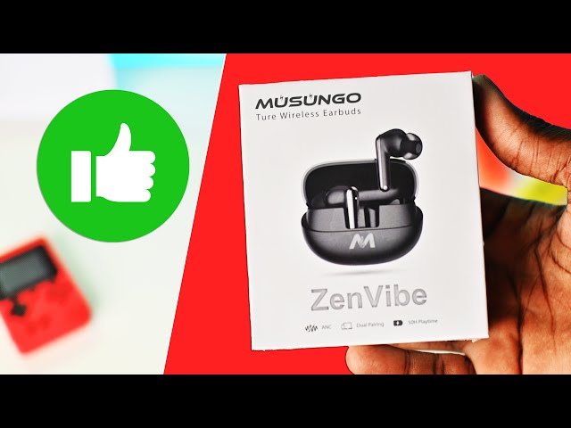 Musungo ZenVibe Earbuds Review - Overhyped?