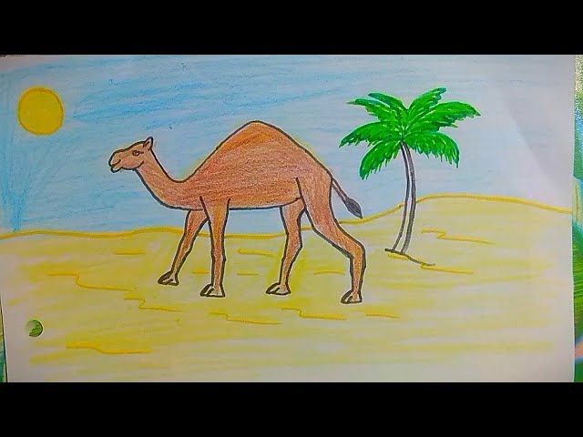 Camel/ how to draw camel/how to draw scenery of desert with camel/unt kaise banaye/desert animal 🐫