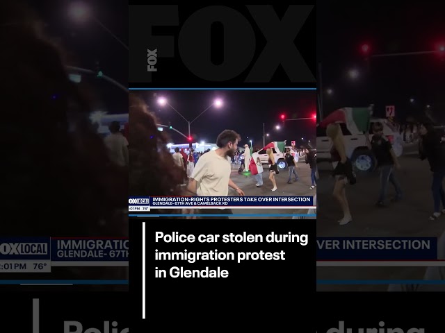 Police car stolen during immigration protest