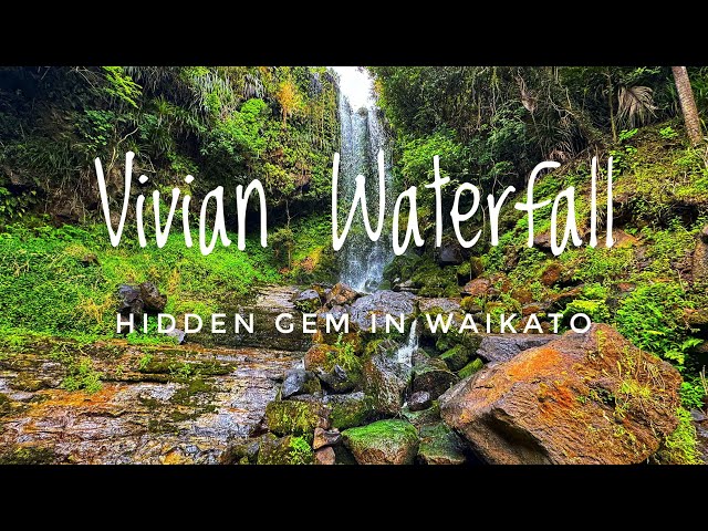 Harker Reserve's Hidden Gem: Beautiful Vivian Waterfall In Waikato 4K [English Subtitles] Part 1