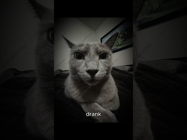 #tiktok #memes