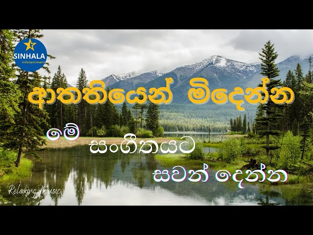 Stress Relief Music | Relaxing & Meditation Music | ආතතියෙන් මිඳීමට සංගීතය