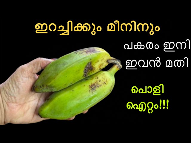 💯ഇത് പോലൊരു ഐറ്റം ഉണ്ടെങ്കിൽ പിന്നെ ഇറച്ചിയോ മീനോ വേണ്ട👌|Side Dish Recipe| Raw Banana Recipe|Snack