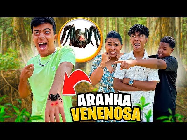 😱ENCONTRAMOS UMA ARANHA MUITO VENENOSA!🕷️😰 *Estevão foi mordido!!!