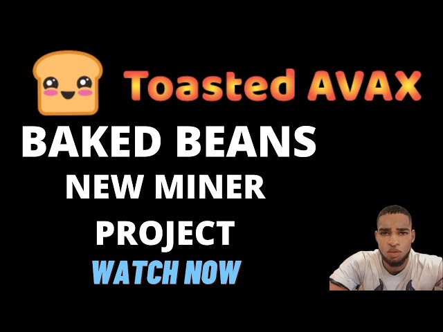 BAKED BEANS NEW MINER TOASTED AVAX | What Is Toasted Avax?