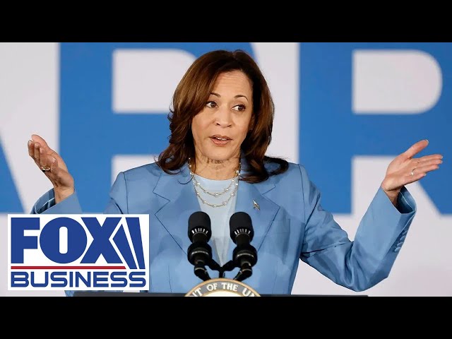 Kamala Harris' ideology explained: 'Socialism'