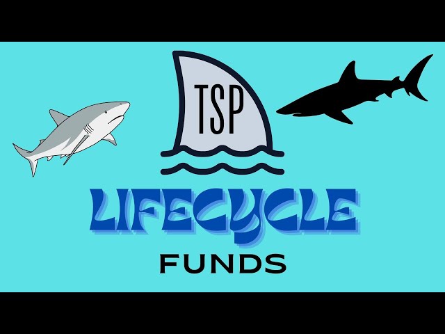 TSP Lifecycle Funds