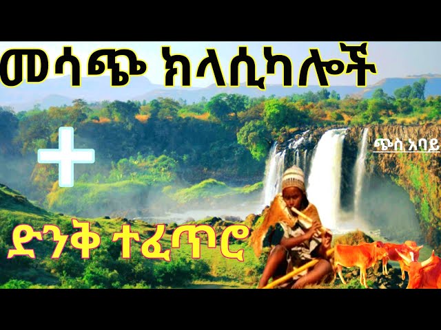 ክላሲካል ስብስብ/the Longest Ethiopian - Eritrea's instrumental classical musics ever #classicalmusic