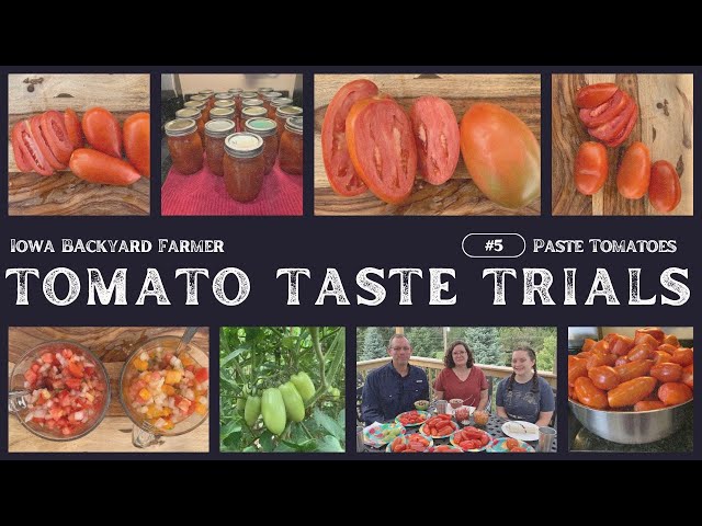 Taste Testing 8 Paste Tomato Varieties!