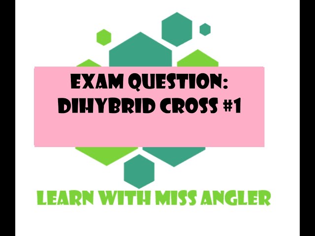 GR 12 EXAM QUESTION: Dihybrid cross #1