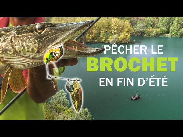 How to Catch Pike on a Spinnerbait