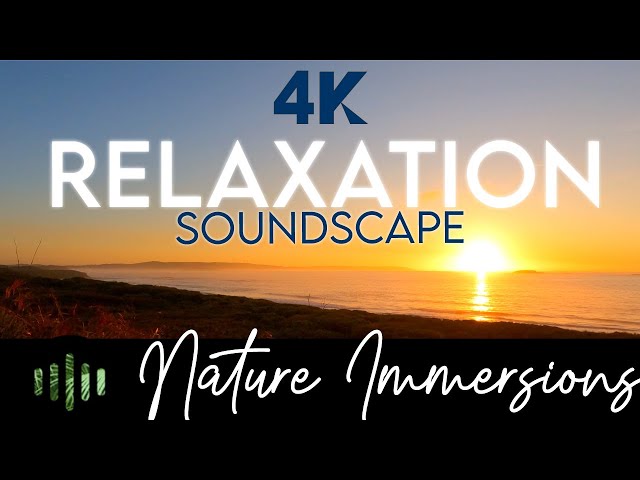 Blissful Sunrise with Ocean Soundscape in Australia's South West | 4K Nature Immersion