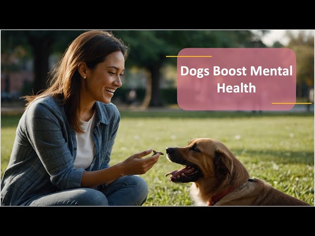 How Dogs Boost Mental Health