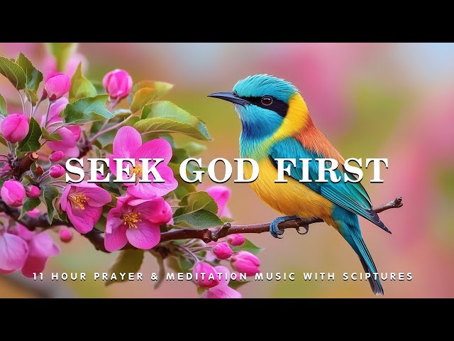 Seek God First: Instrumental Worship and Scriptures with Birds 🕊 Eternal Keys