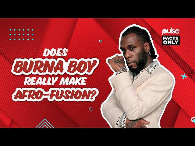 Does Burna Boy actually create Afro-fusion music? | Pulse Facts Only