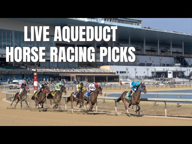 Live Aqueduct Horse Racing Picks