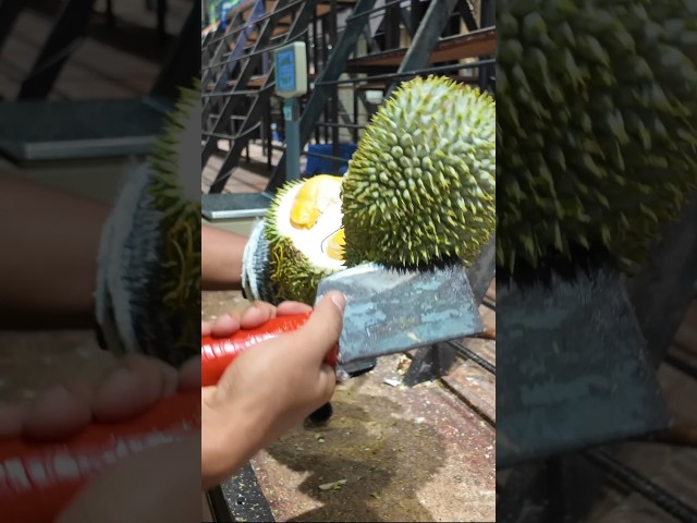 How to CHOP Frozen Durian with a CLEAVER in Malaysia!