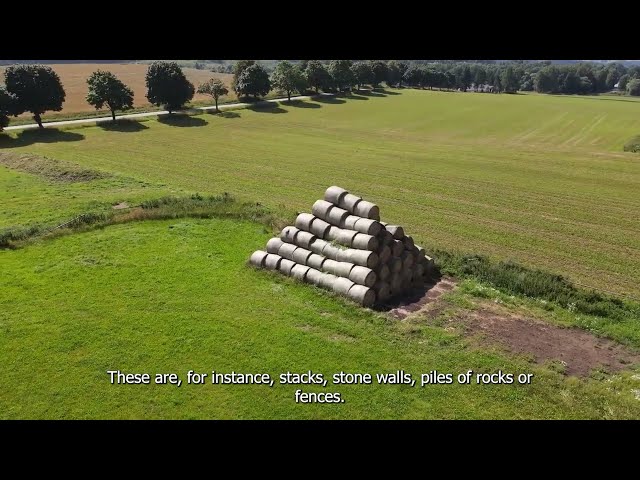 Landscape elements: industrial vs. agroecological farming in the Czech republic