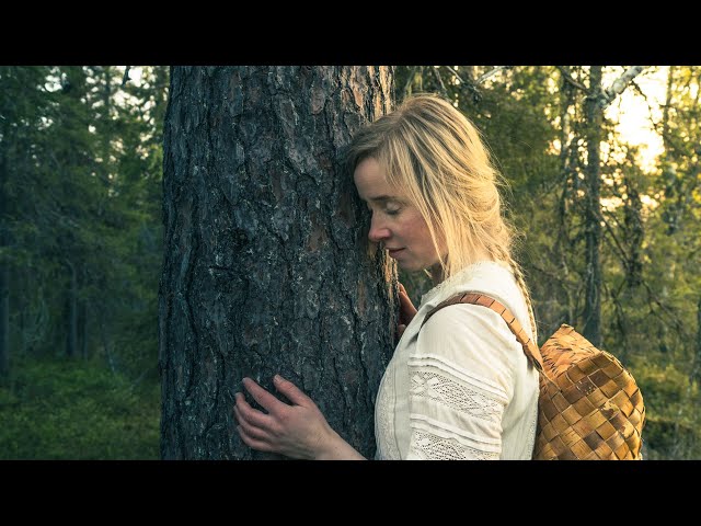 Living in Nature - Why I Choose Trees Instead of People | NORDIC LIFE #19