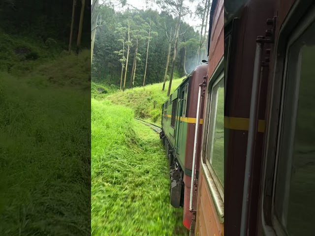 SPORTTROTTER OFF-ROADS (Sri Lanka Tea Mountain Tren)