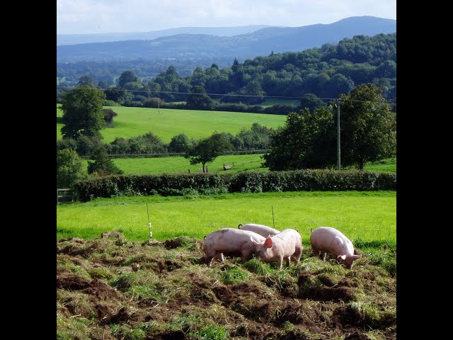 Farm Case Study 34: Treflach Farm, Shropshire